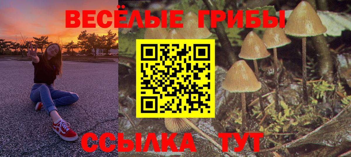 Выкса  Галлюциногенные грибы MAGIC MUSHROOMS  Вход с VPN  Галлюциногенные грибы Psilocybine cubensis 